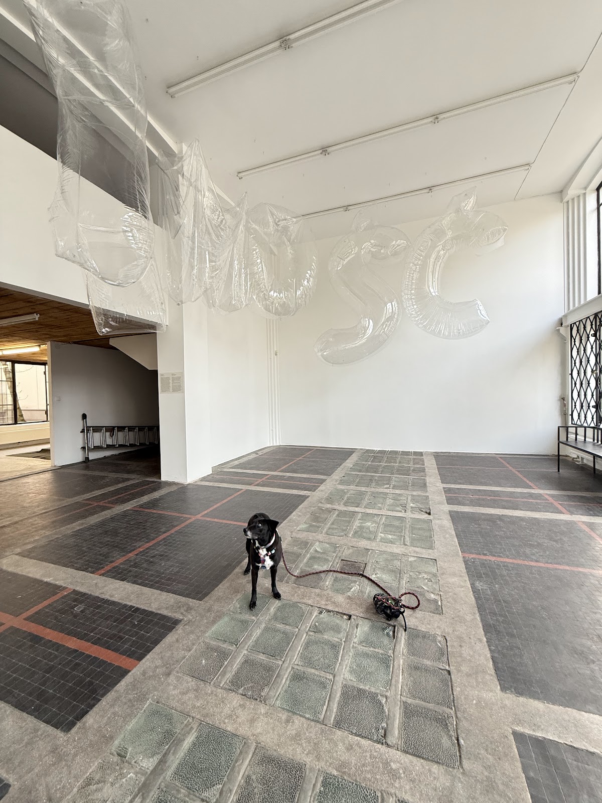 Raster Gallery 1