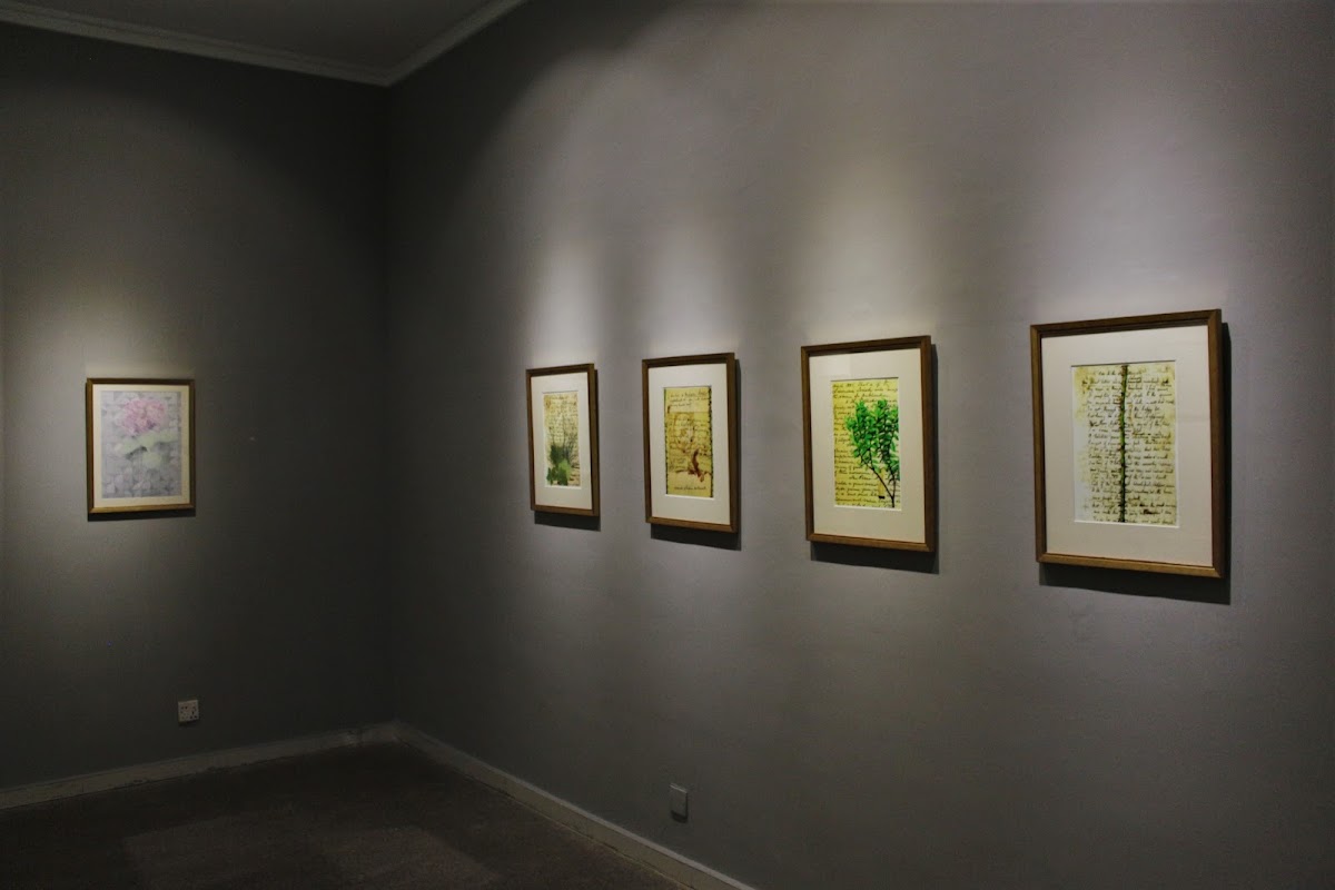 Canvas Gallery Karachi 3