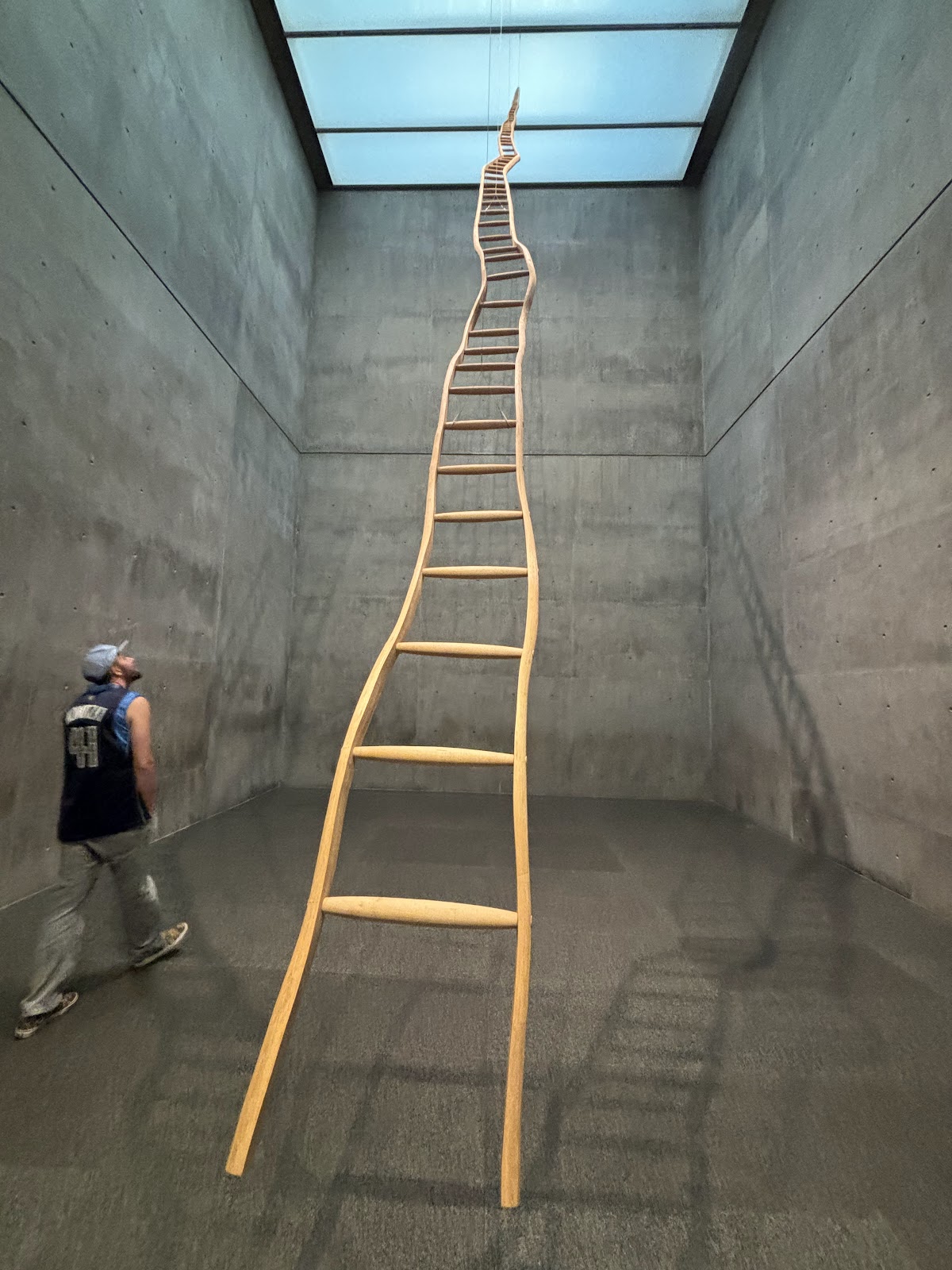 Modern Art Museum of Fort Worth