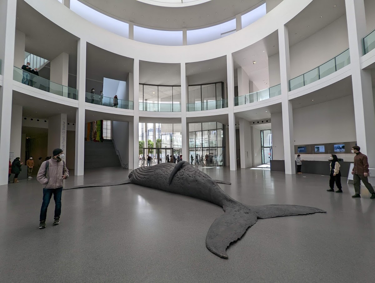 Pinakothek der Moderne 3
