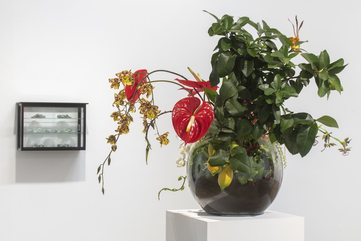 Galerie Chantal Crousel 1