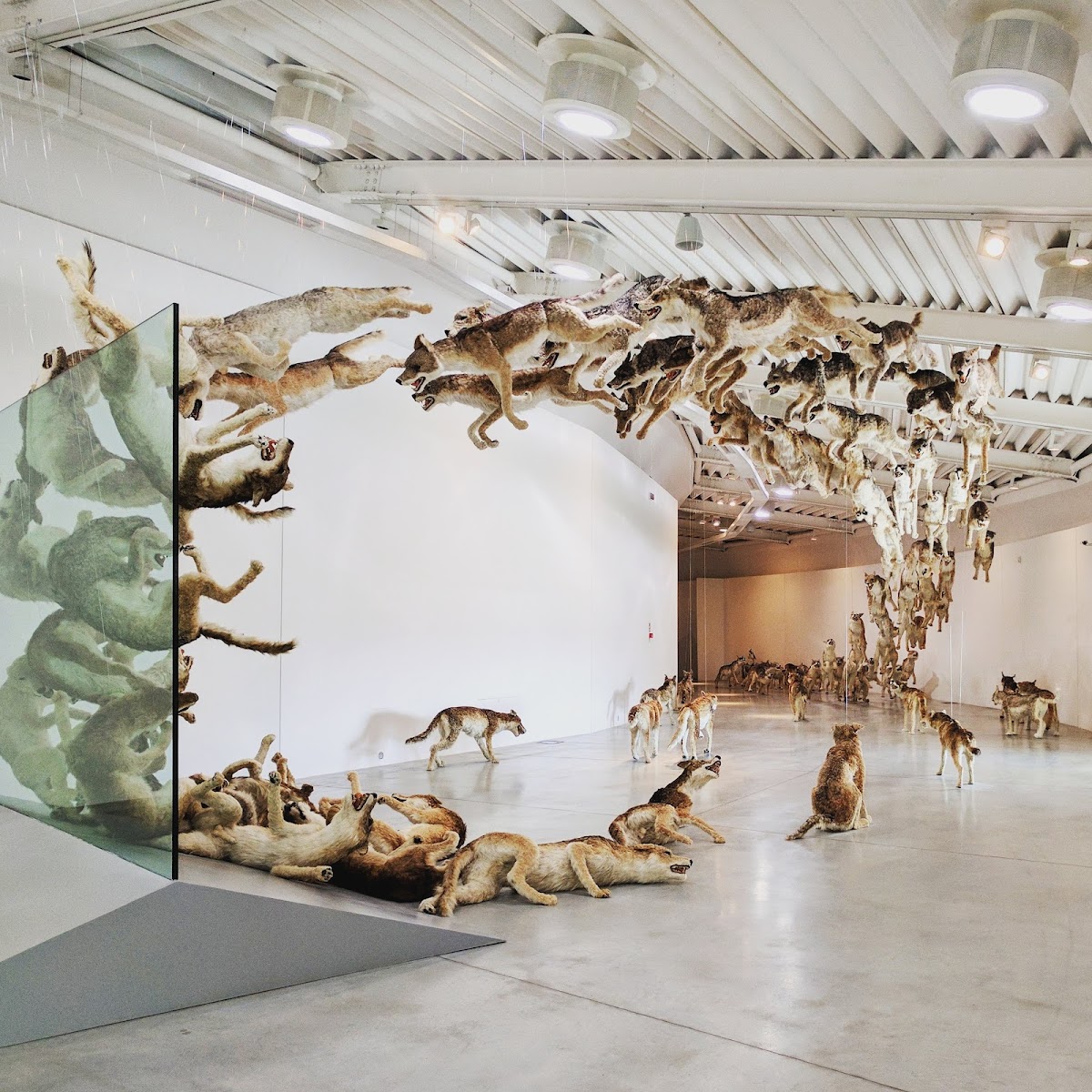 Centro per l’arte contemporanea Luigi Pecci 3