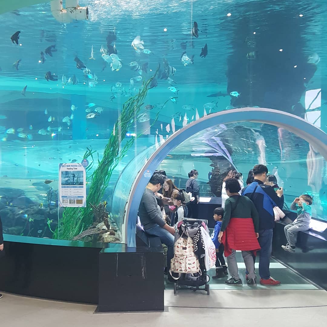 Korea National Maritime Museum 3