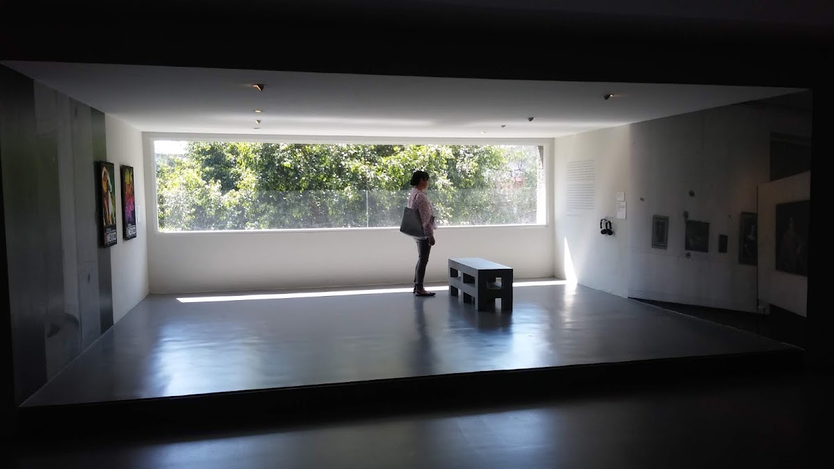 Museo de Arte Carrillo Gil 3