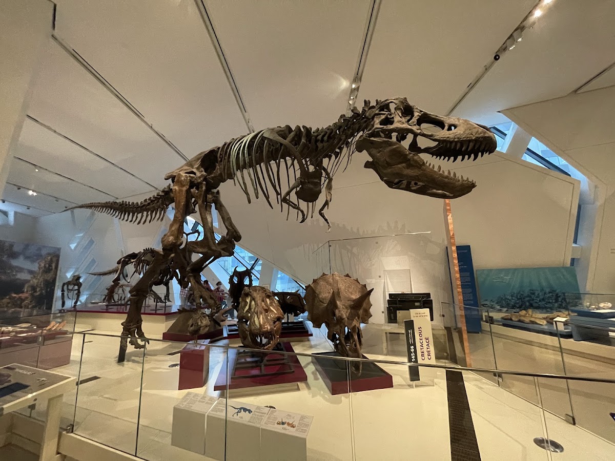 로열 온타리오 박물관 — Toronto