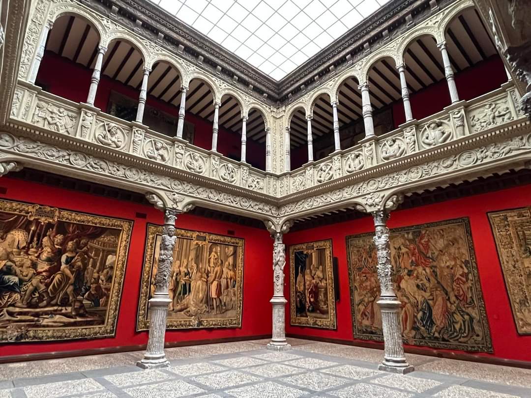 Museo de Ciencias Naturales de la Universidad de Zaragoza 2