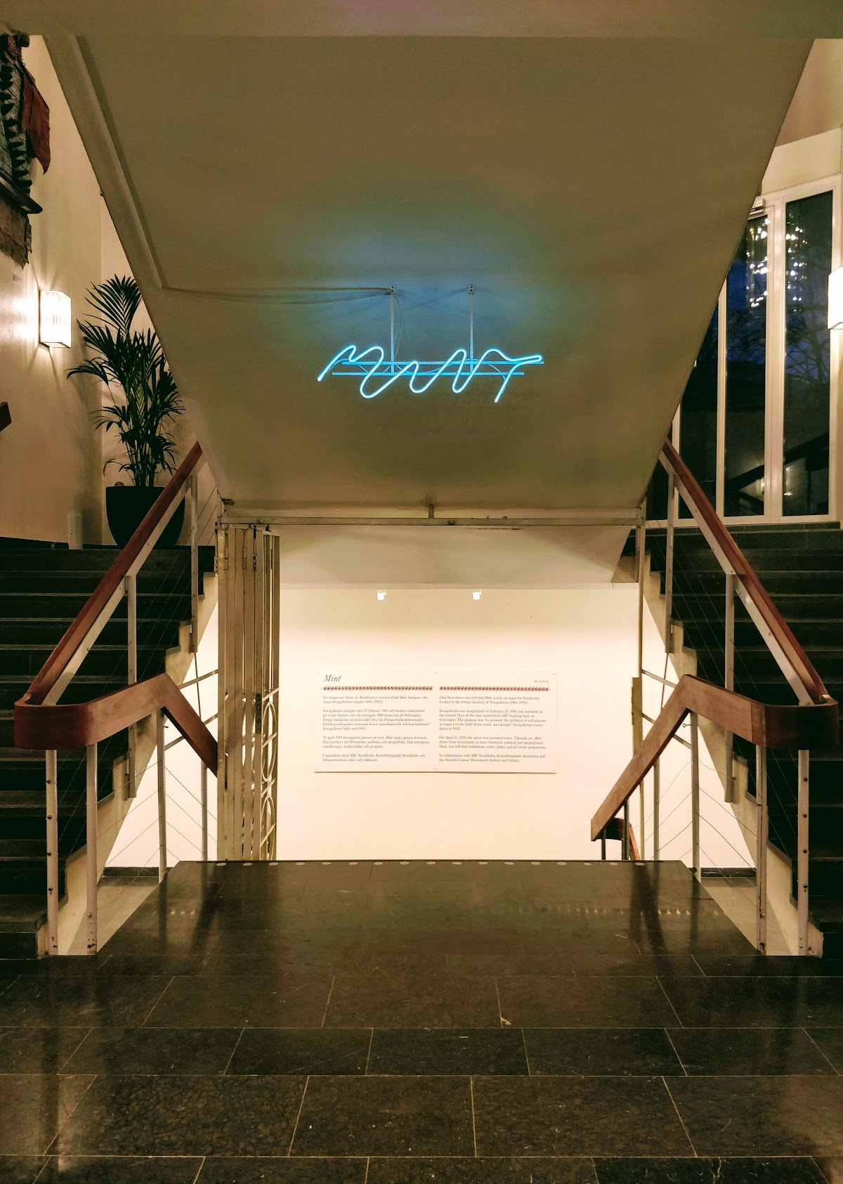 MINT 3