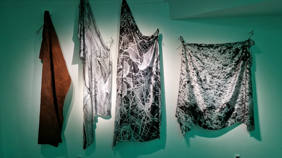 Hobusepea Gallery 1