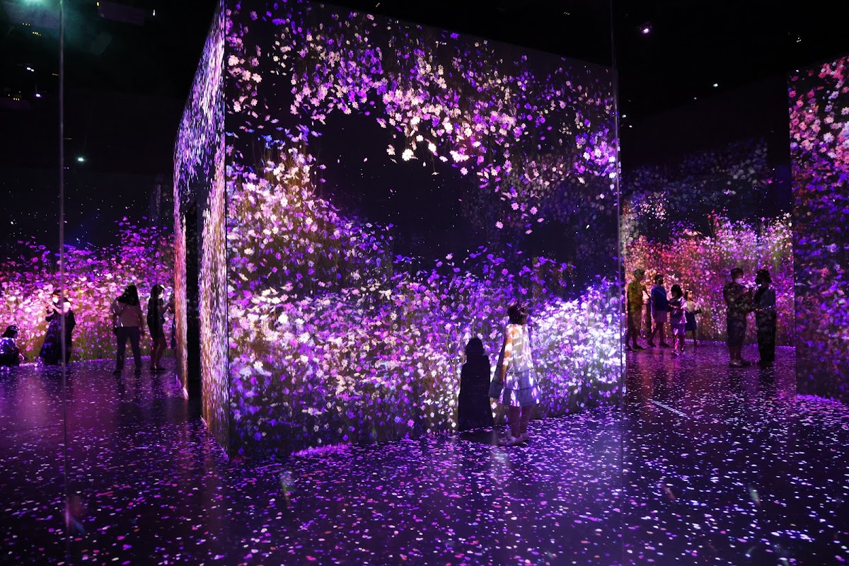 Arte Museum Gangneung 1