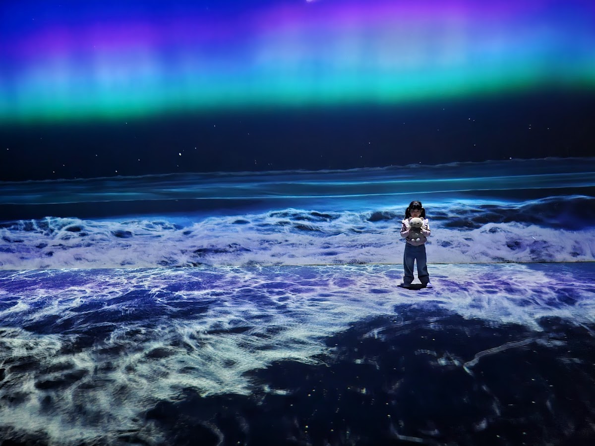 Gangneung Museum of Art 1