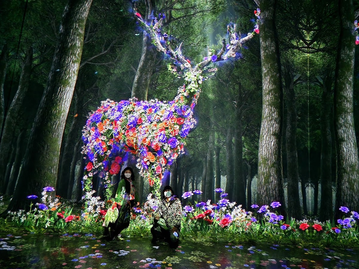 Gangneung Museum of Art 2