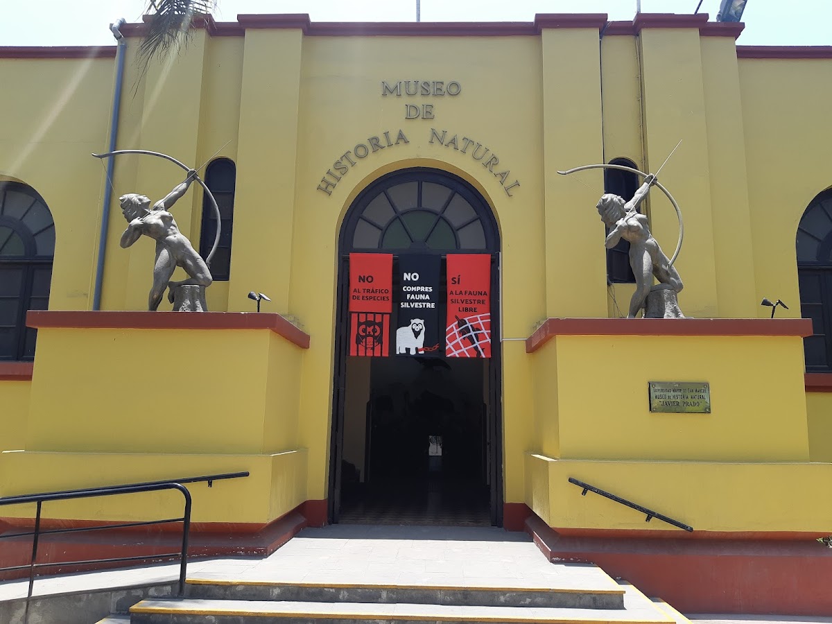 Museum of Natural History, Lima 3