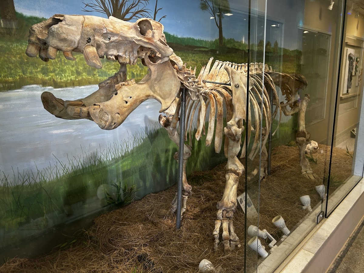 Museu de Zoologia da Universidade Federal da Bahia 1