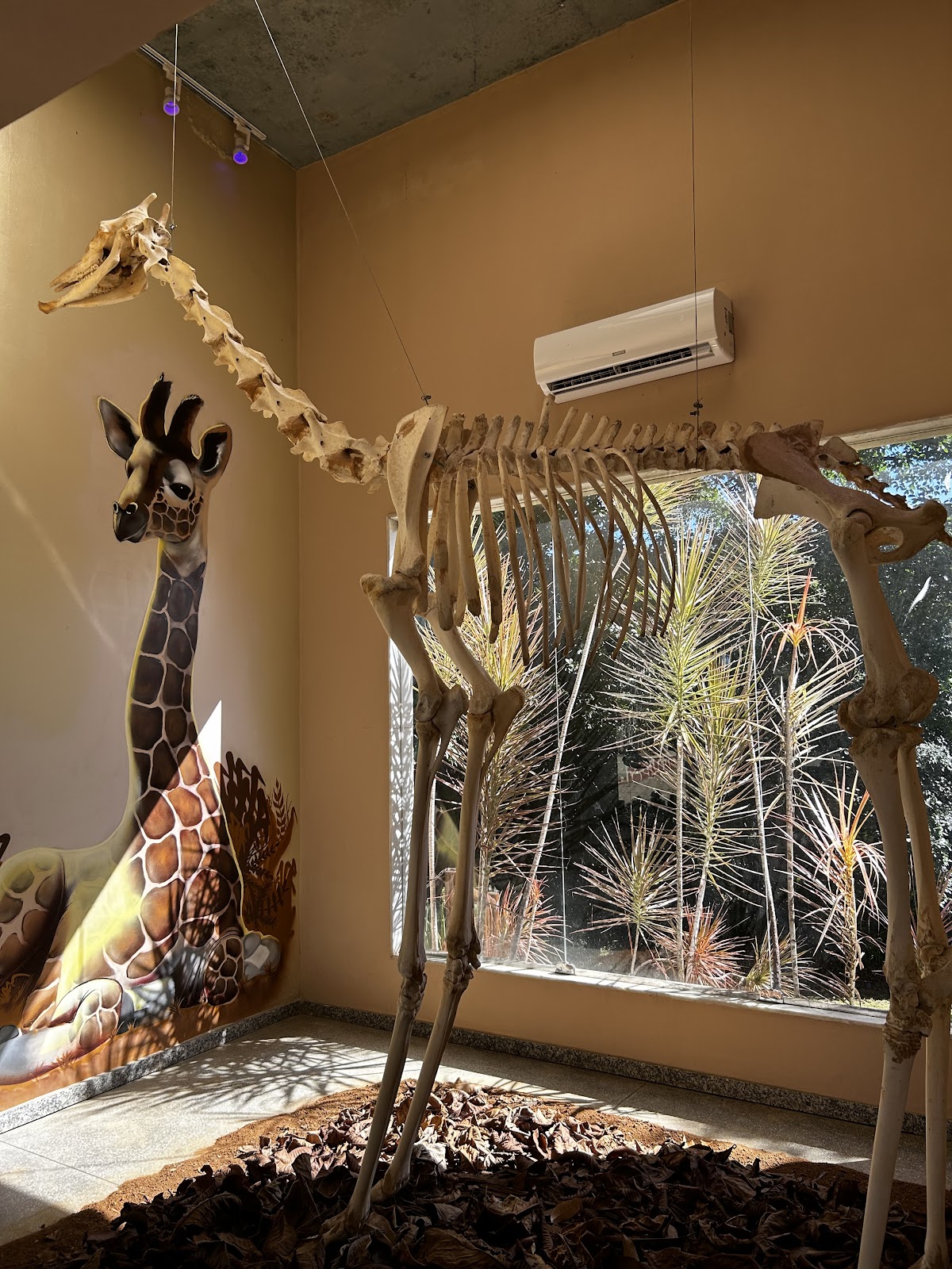 Museu de Zoologia da Universidade Federal da Bahia 2