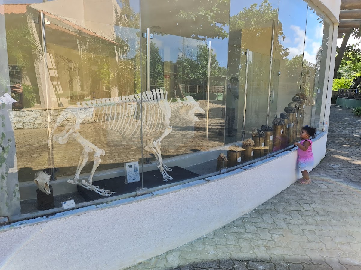 Museu de Zoologia da Universidade Federal da Bahia 3