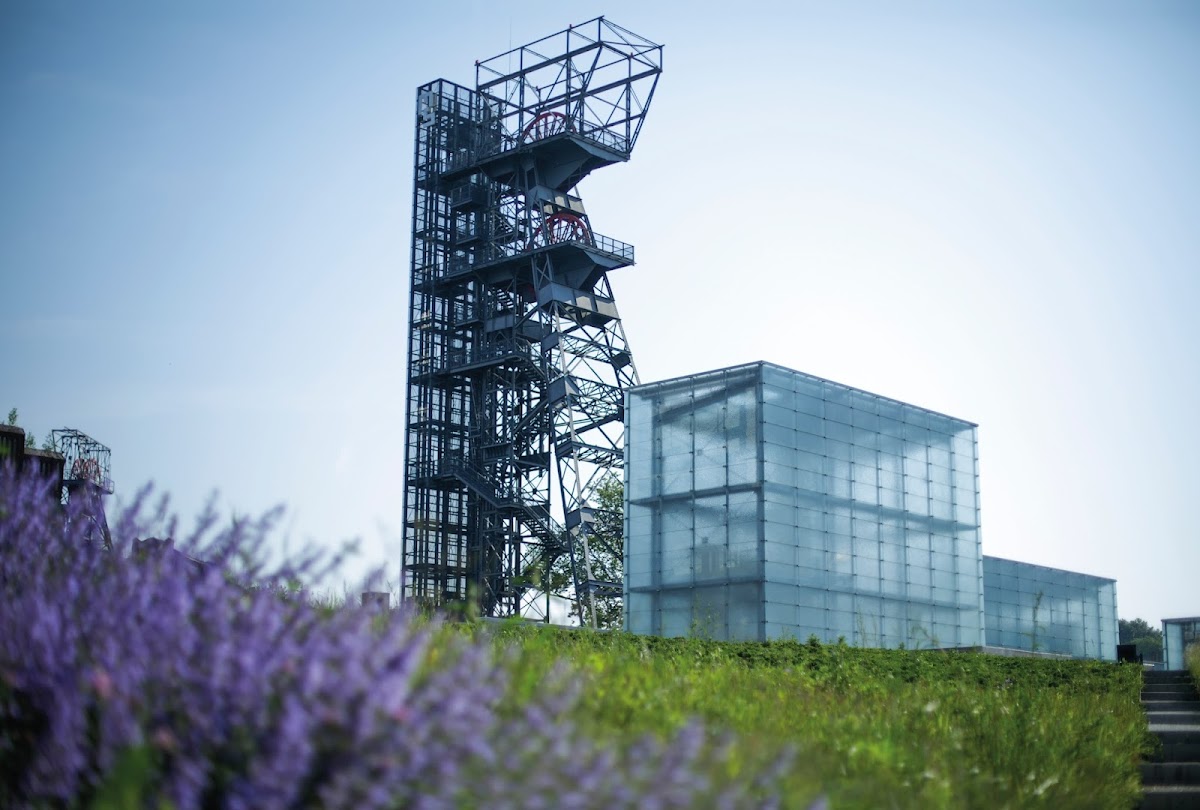 Silesian Museum 1
