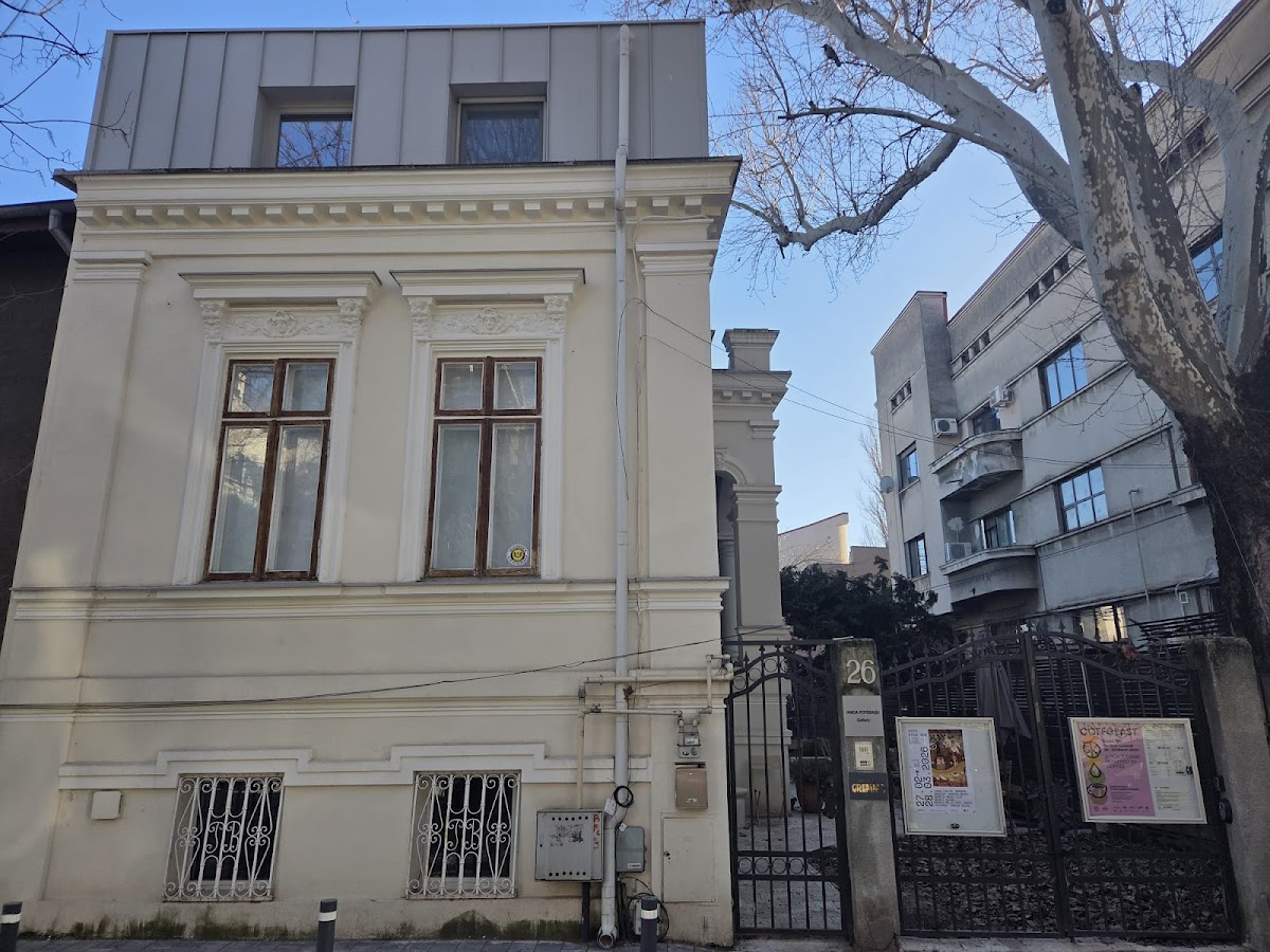 Anca Poterasu Gallery 3