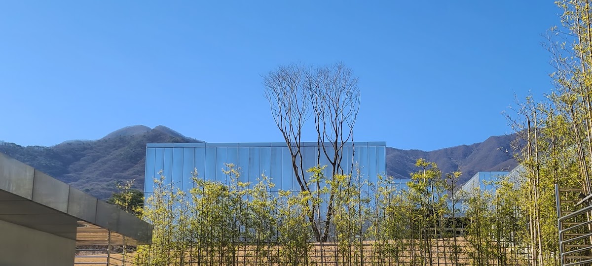 Gimcheon Museum of Art 2