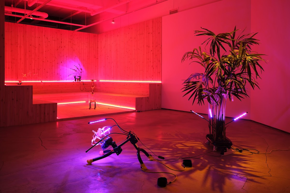 G Gallery 3
