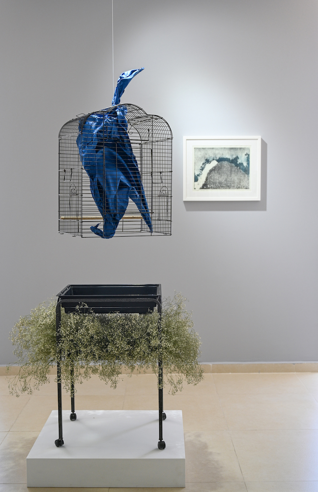 Zawyeh Gallery 3