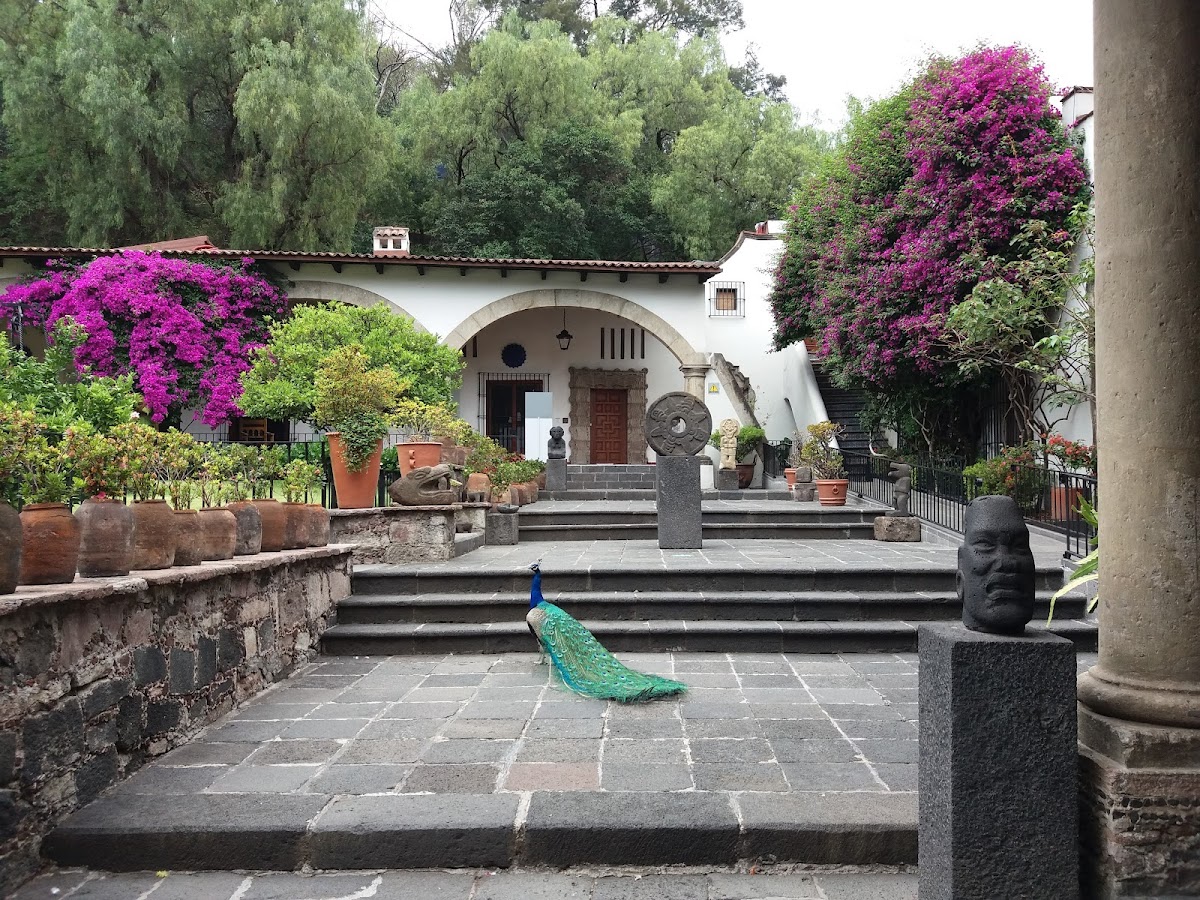 Museo Dolores Olmedo 2