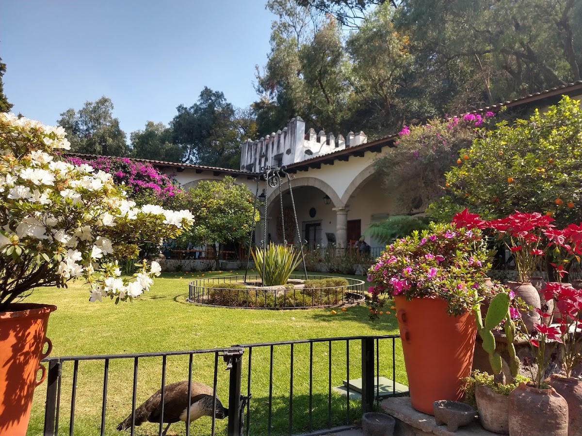 Museo Dolores Olmedo 3