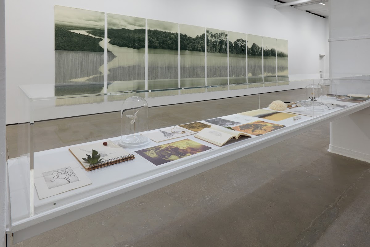 Sean Kelly Gallery New York 3