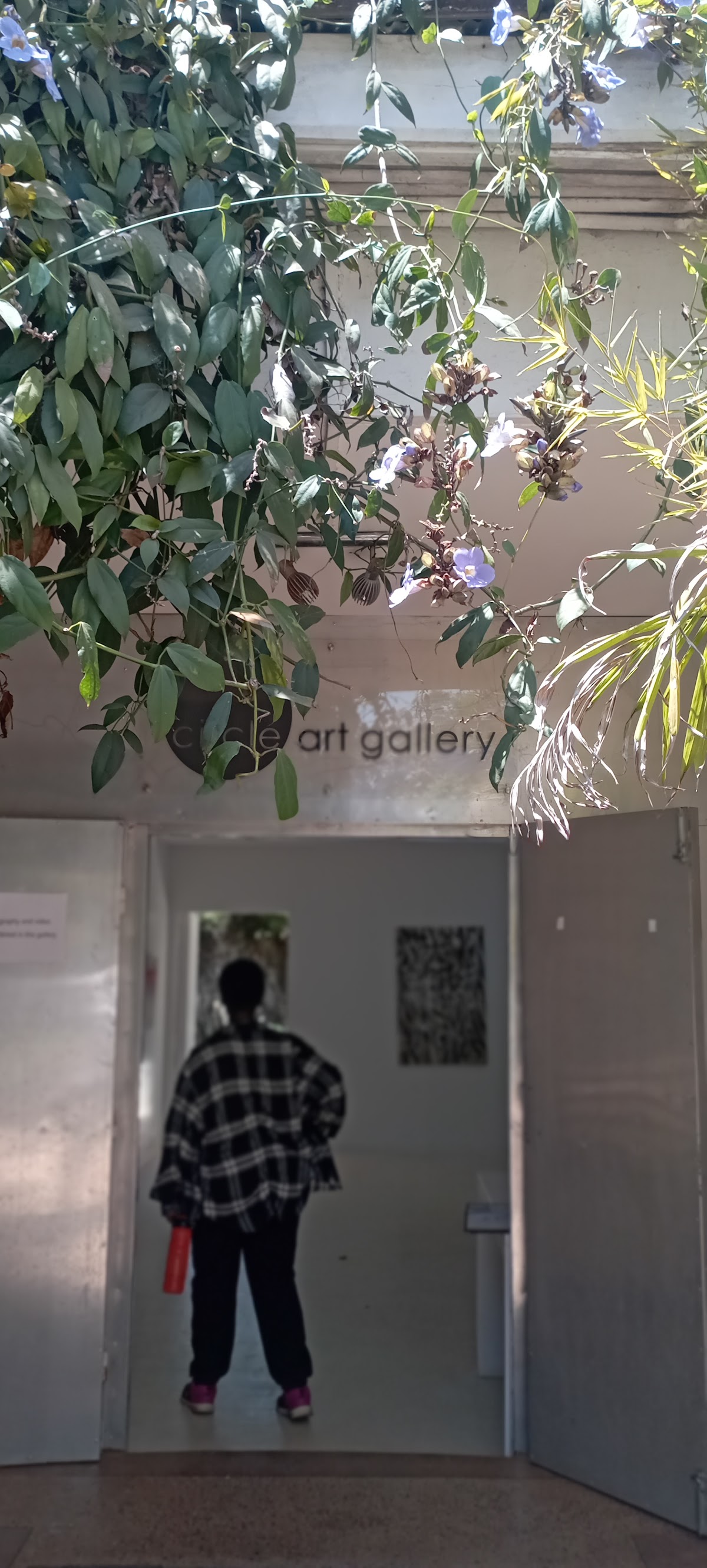 Circle Art Gallery 1