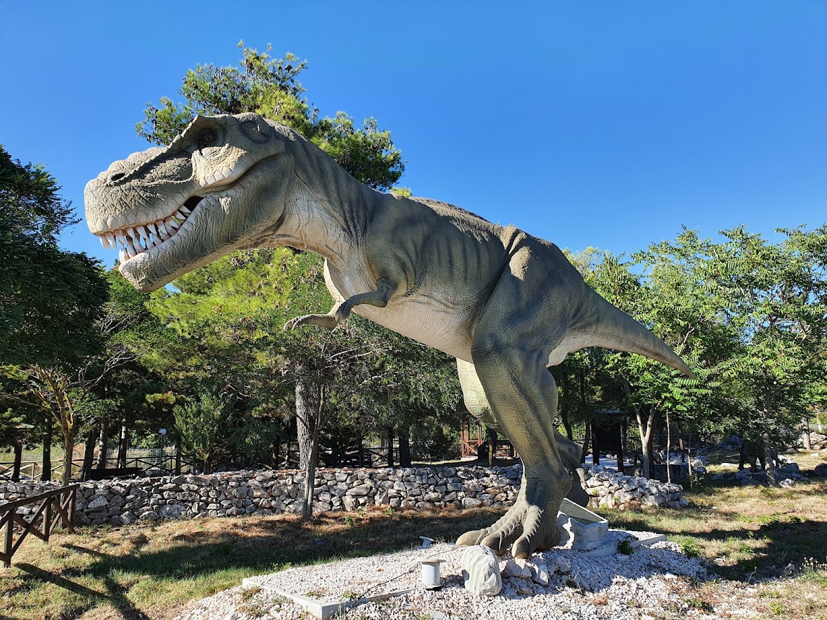 Museo paleontologico dei Dinosauri 1