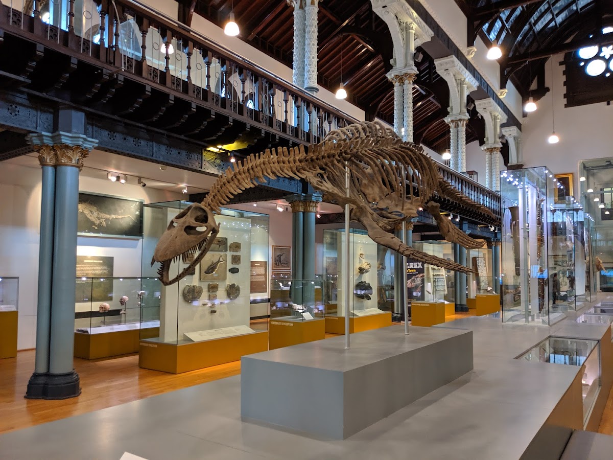 Hunterian Museum and Art Gallery 1
