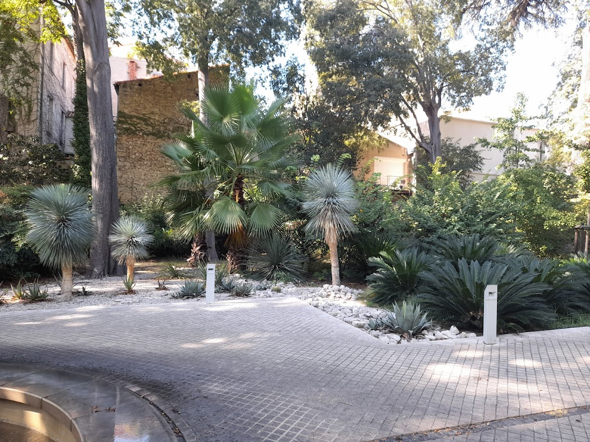 MO.CO. Montpellier Contemporain 3