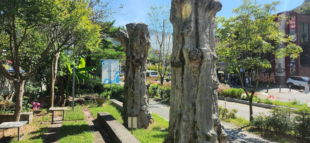 Mudeung Museum of Contemporary Art 3