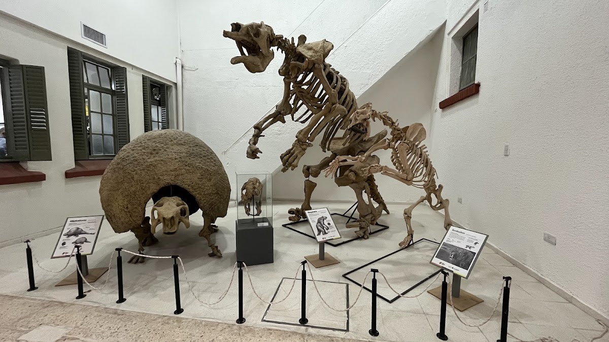 Natural History Museum of La Pampa 3