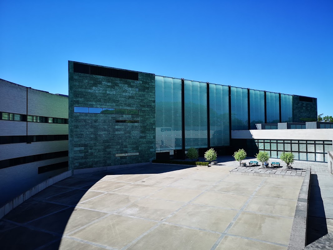 A Journey Across the Baltic Sea for Modern Art: From Tallinn to Helsinki