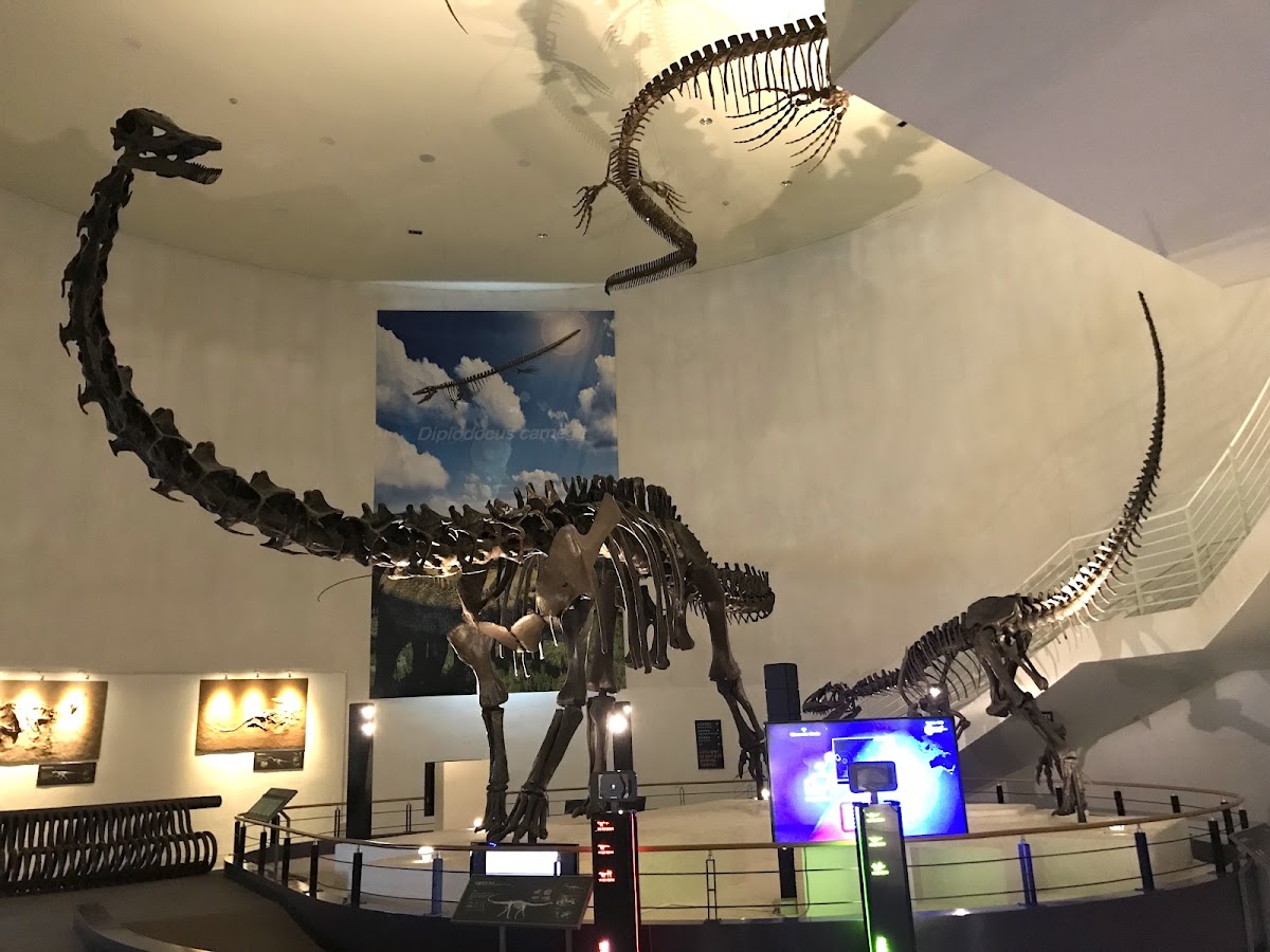 Mokpo Natural History Museum 1