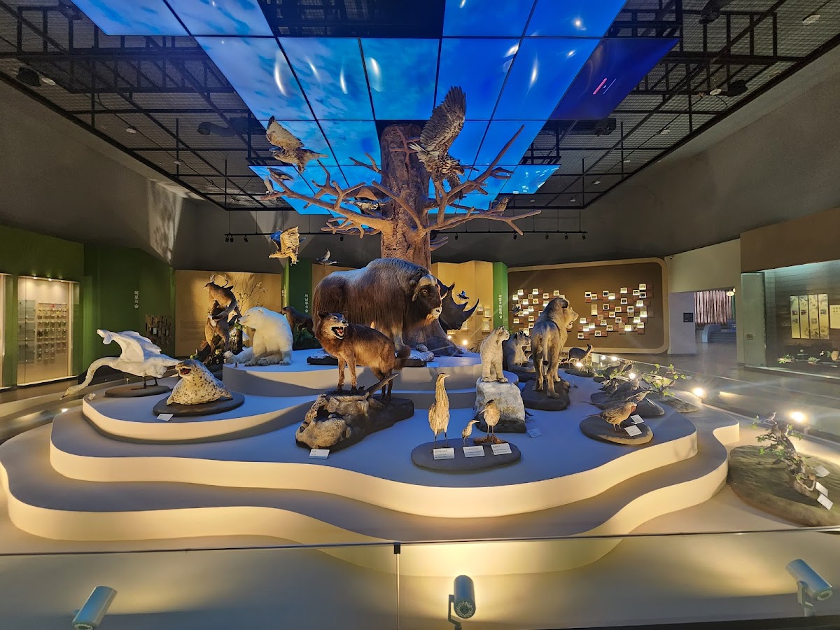 Mokpo Natural History Museum 2