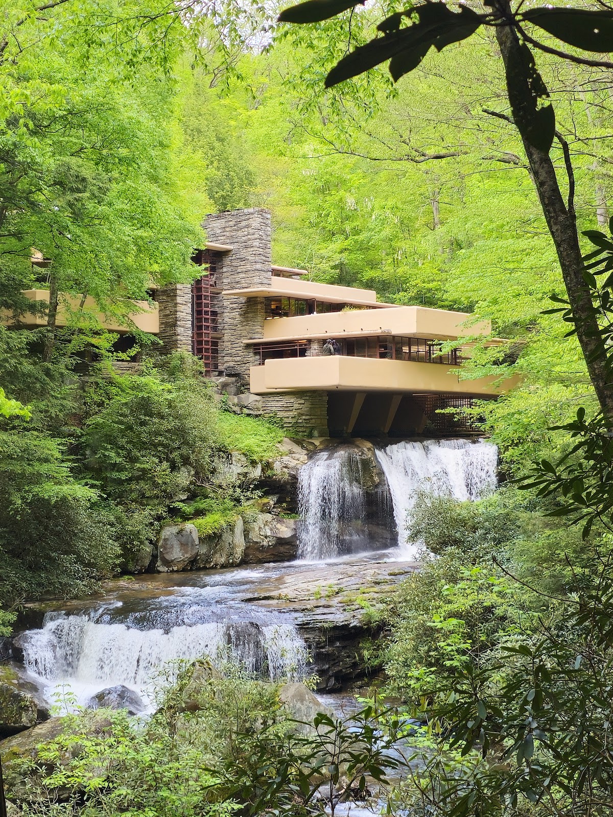 Fallingwater 1