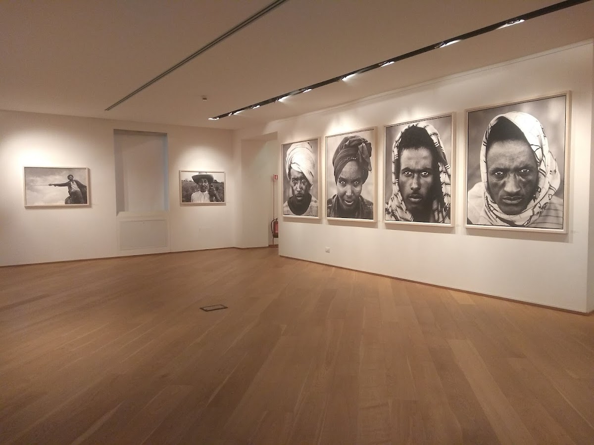 Museo Civico di Storia Naturale "Silvia Zenari" 1