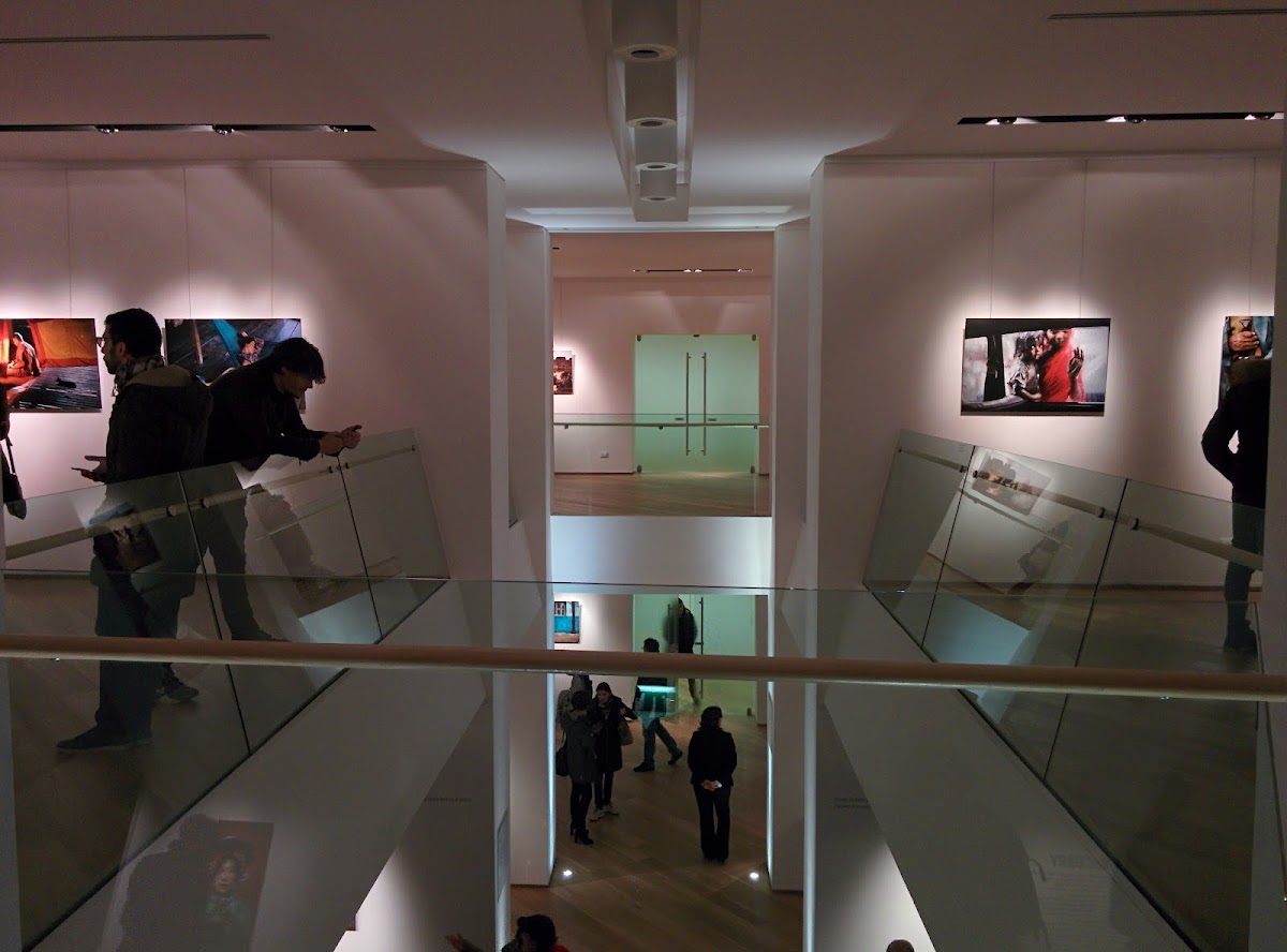 Museo Civico di Storia Naturale "Silvia Zenari" 3