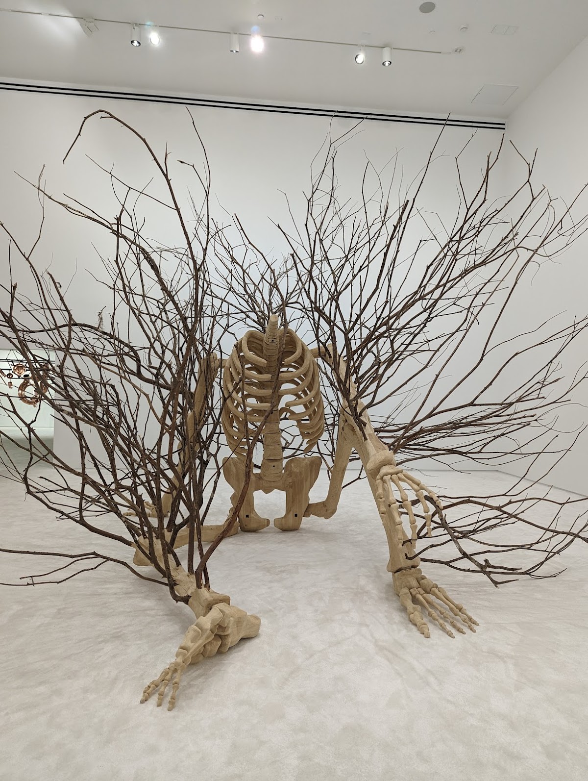 Blaffer Art Museum 3