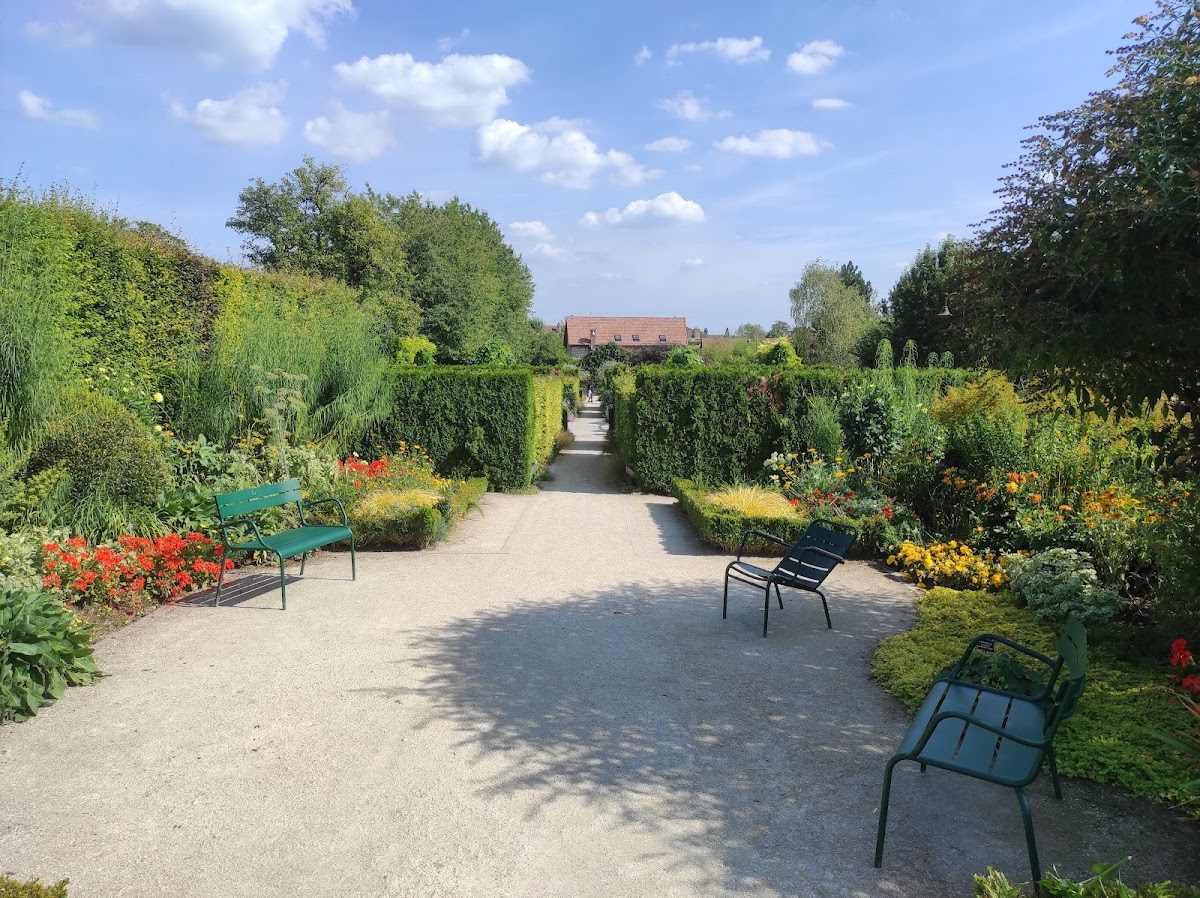 Following the Impressionist Light in Monet's Village