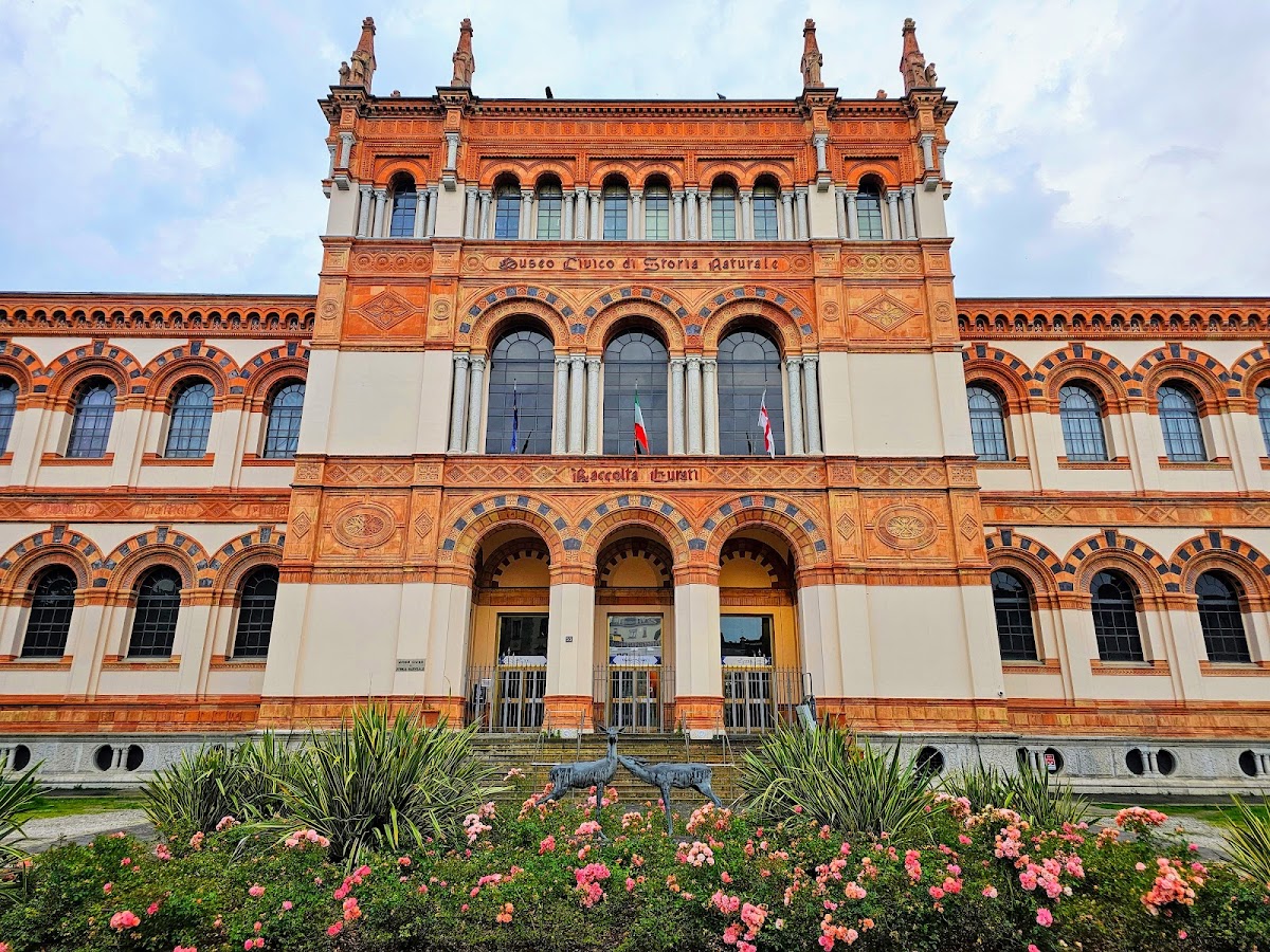 Museo Civico di Storia Naturale di Milano 2