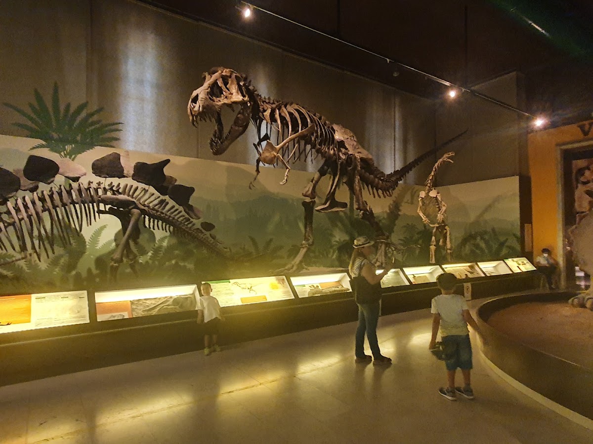 Museo Civico di Storia Naturale di Milano 3