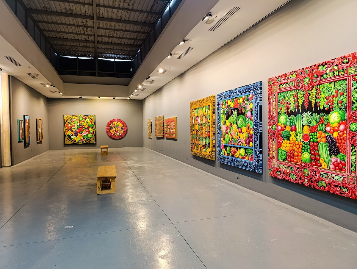 Museo de Arte del Tolima 2