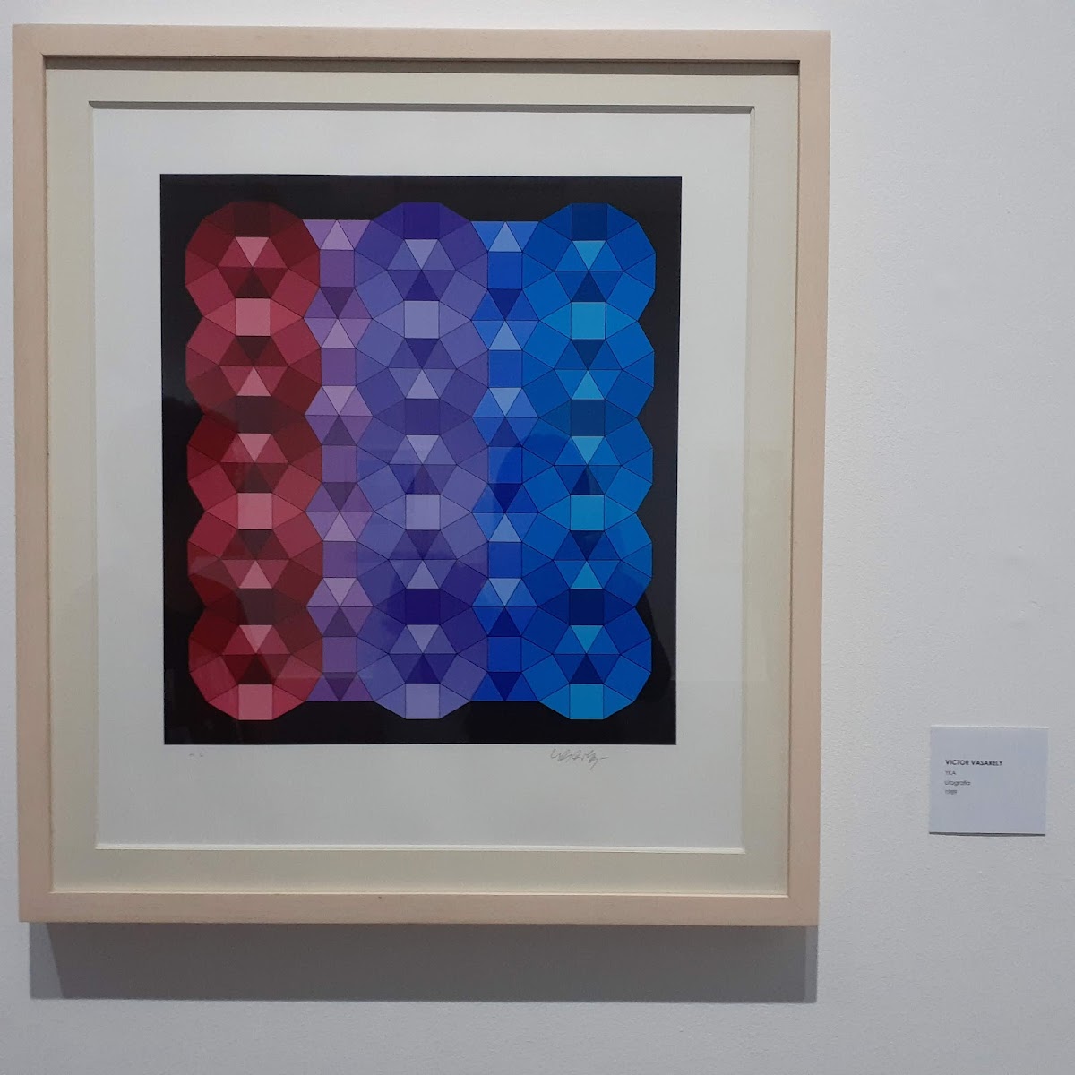 Museo de Arte del Tolima 3