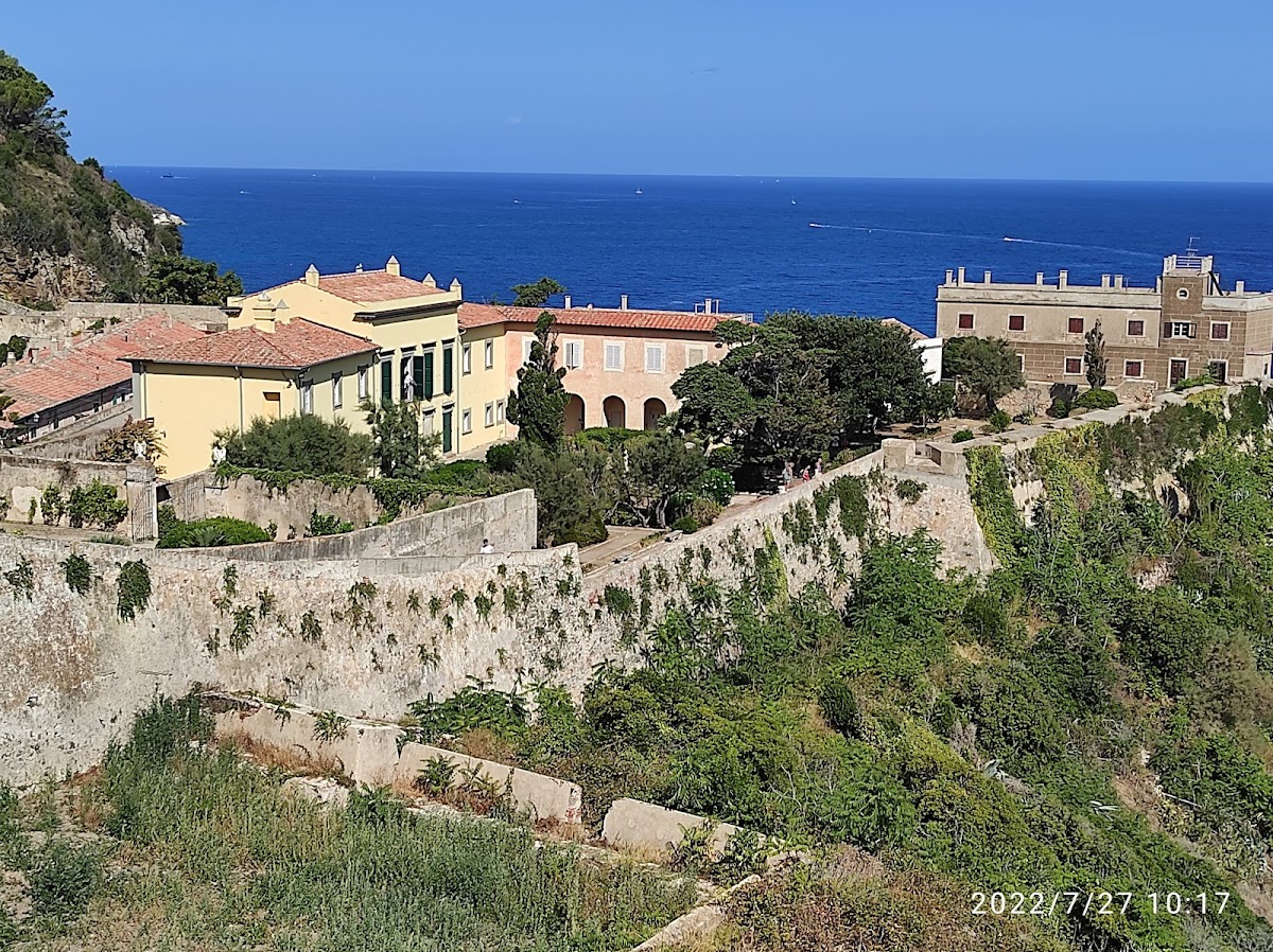 Pinacoteca Foresiana 3