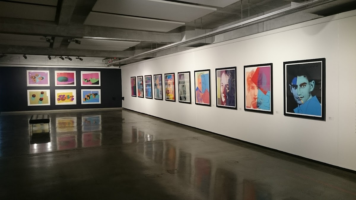 Wits Art Museum 1