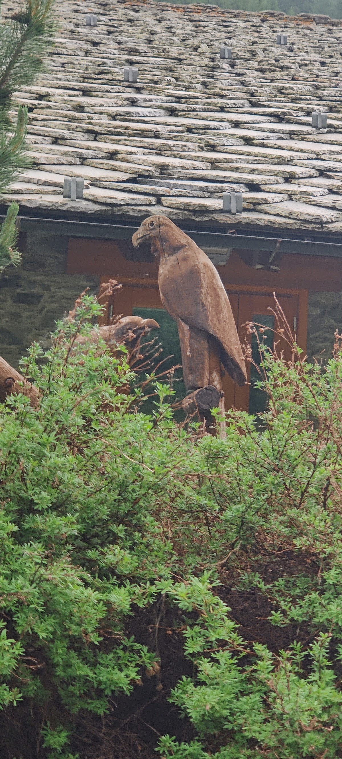 Gran Paradiso National Park Visitors Centre 3