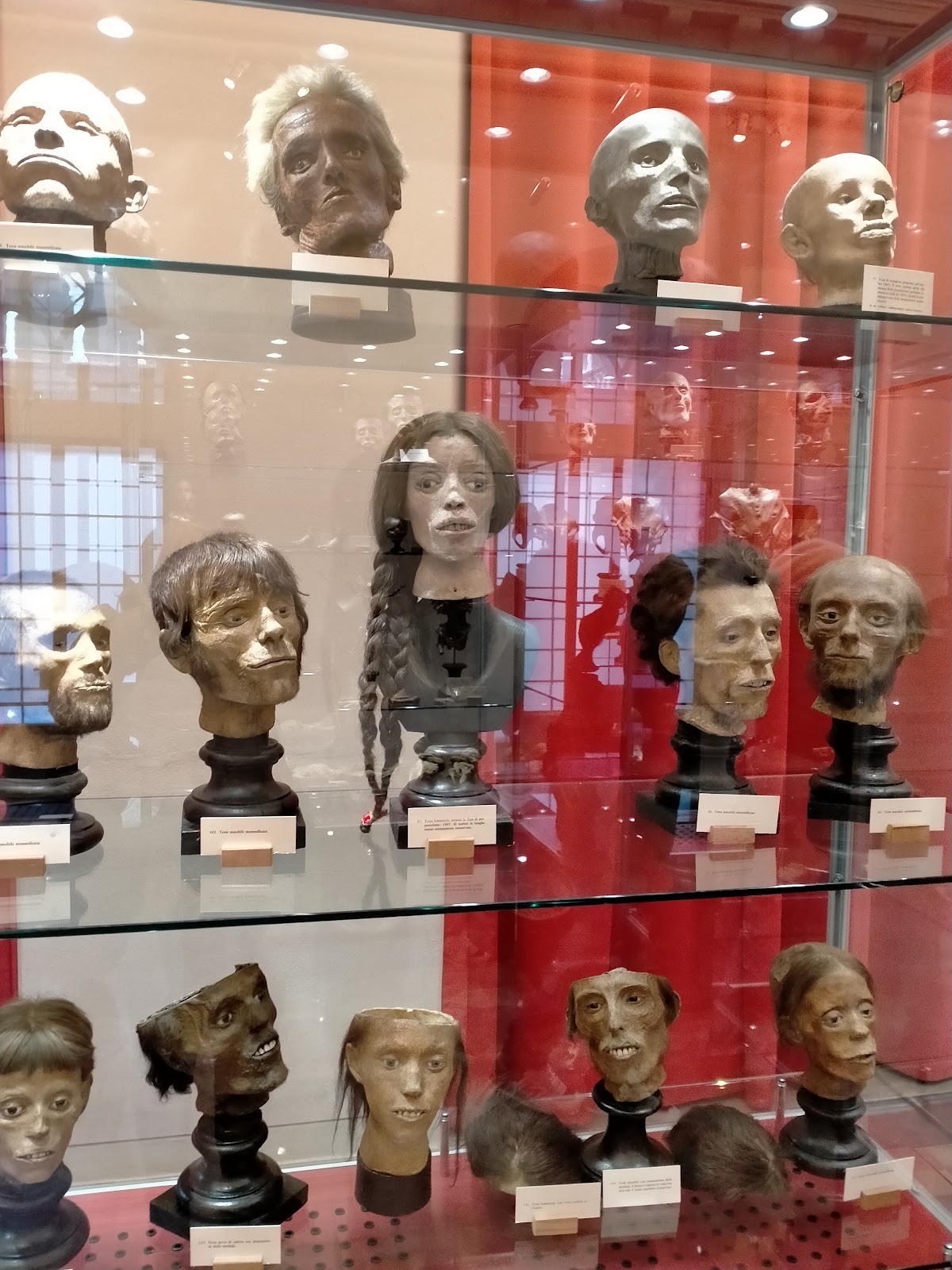 Paolo Gorini Museum 1