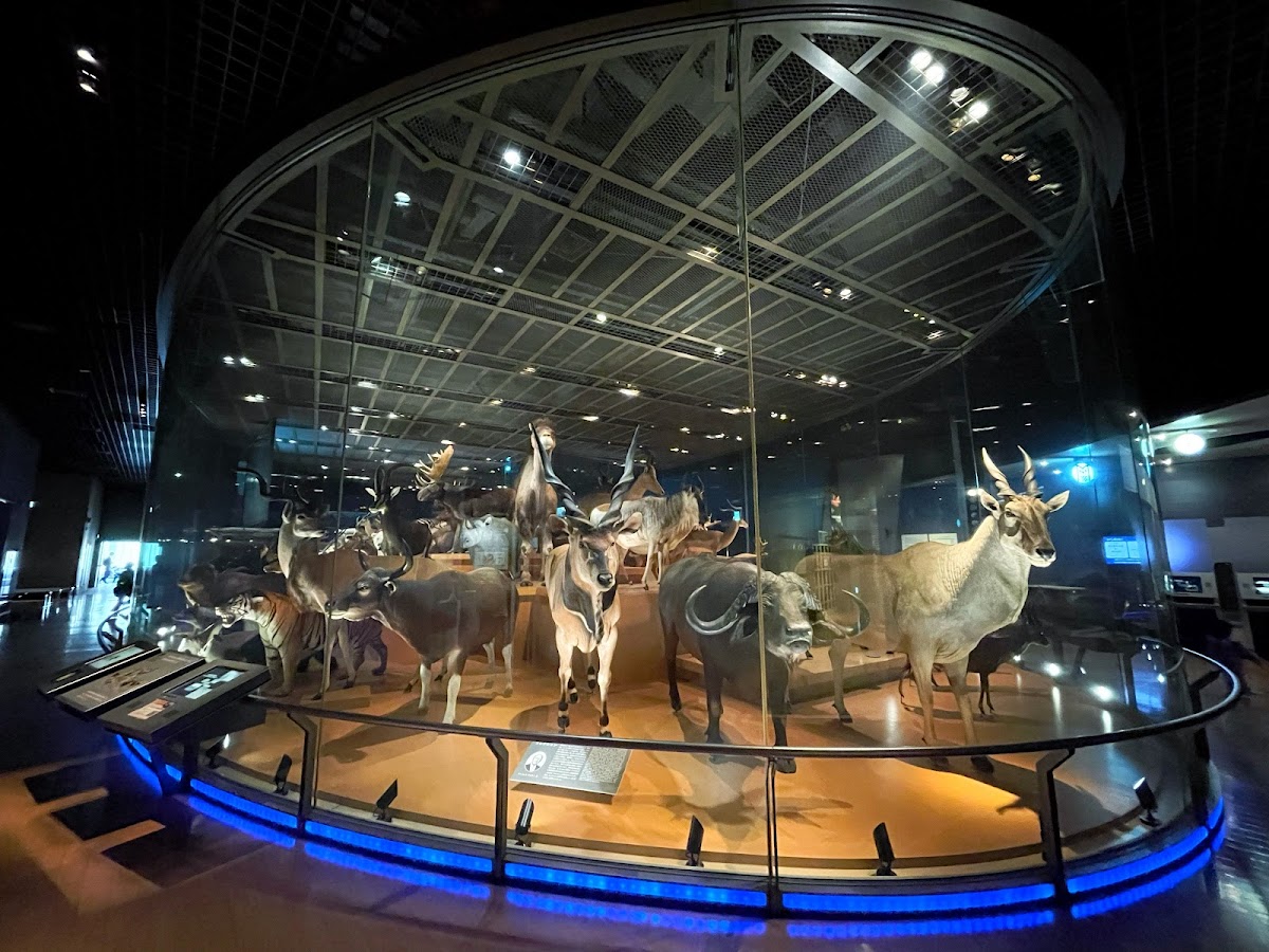 국립서양미술관 — Tokyo